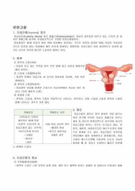 자궁근종 간호과정 케이스