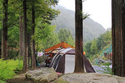 자연 휴양림 캠핑 장