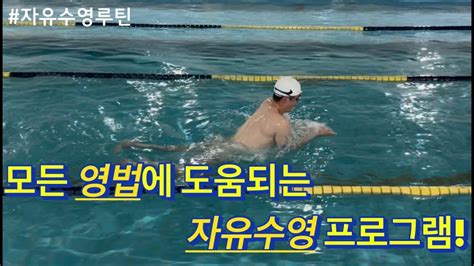 자유 수영 루틴 - 일반 수영 400일 후기