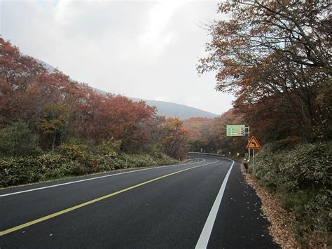 제주도 한라산 드라이브코스 - 1100도로, 516도로 : 네이버 블로그