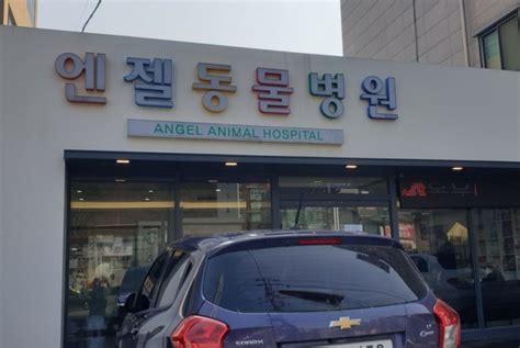 천안 동물 병원