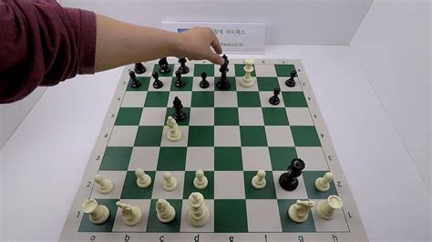 체스 이기는 법
