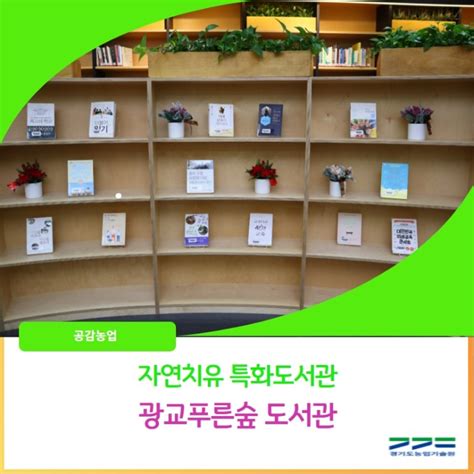 추천도서 광교푸른숲도서관 - 광교 정신과