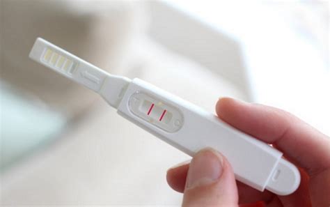 치약 임신 테스트nbi
