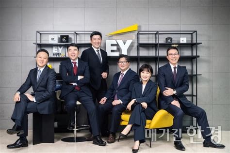 컨설팅 금융컨설팅본부 - ey korea - U2X