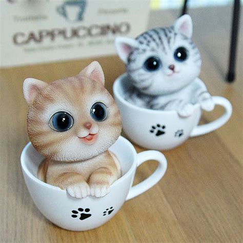 컵 고양이
