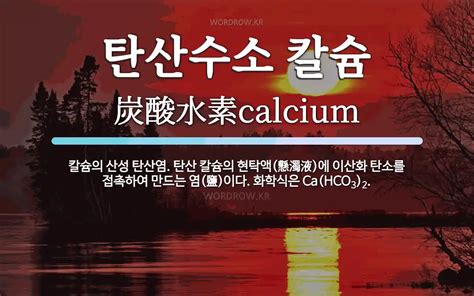 탄산 칼륨 위키백과, 우리 모두의 백과사전 - 탄산 수소 칼슘