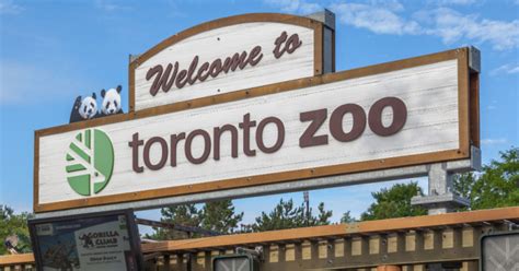 토론토 동물원 accommodation