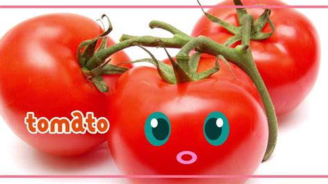 토마토 영어 로