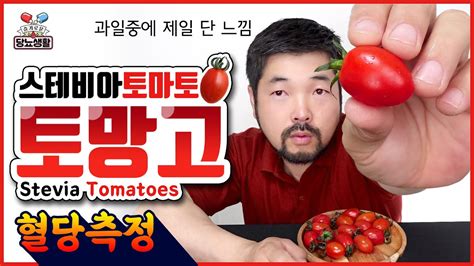 토마토 와 당뇨