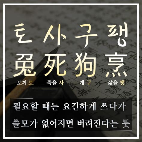 토사구팽(兎死狗烹) 유래, 뜻 - 고사성어 원문 이야기