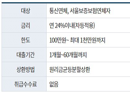 통신연체 및 서울보증보험연체자. 대출금리