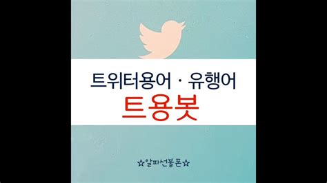 트위터 용어nbi