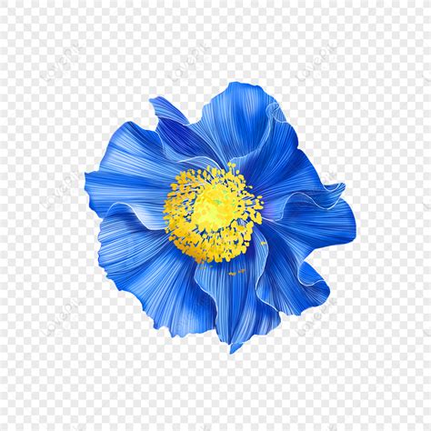 파란 꽃 일러스트