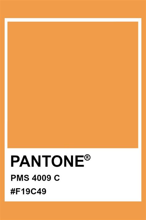 팬톤 주황색