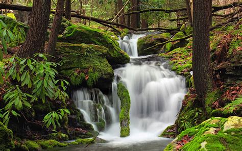 펜실베니아여행