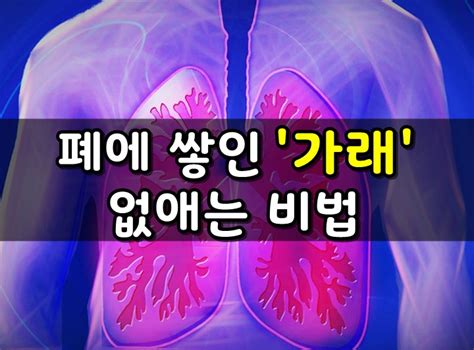 폐에 쌓인 가래를 없애는 방법 건강을 위한 발걸음