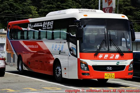 푸른 교통 - 시외버스 부산 울산 나무위키