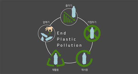 플라스틱 환경 오염 해결 방안