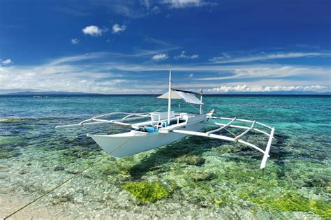 필리핀의 보물섬, 보홀 필수 코스 7 feat.세부에서 보홀