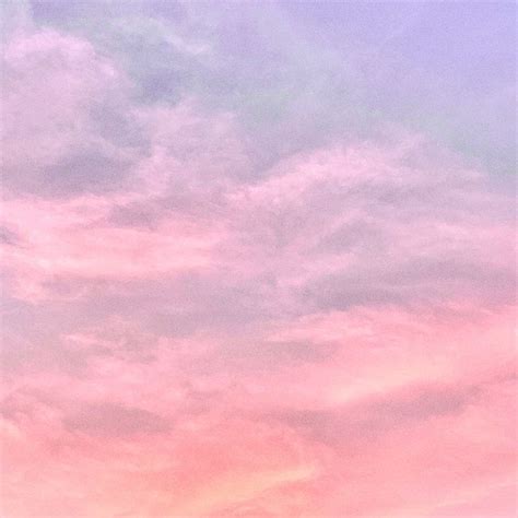 핑크 하늘 사진
