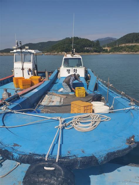 한국선박중개소