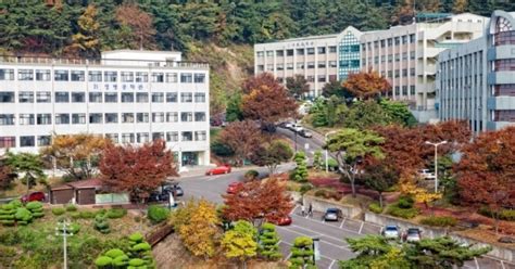 한국 국제 대학교 폐교