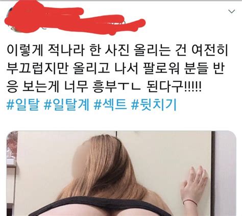 한국 섹스 트위터 Web -