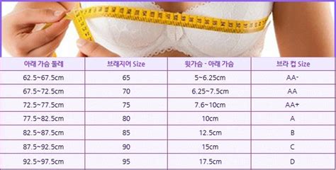한국 여자 평균 가슴 사이즈알고 , 여성 유방 크기 재는법 알아봐요.