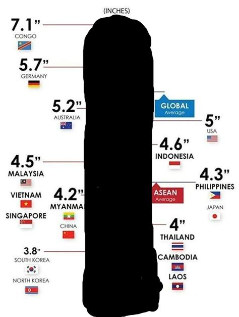 한국 평균 길이