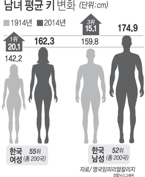 한국 20대 평균 키
