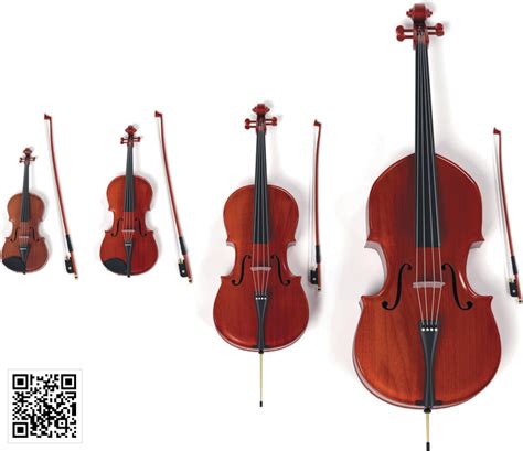 현악기 종류, 현악기 크기 비교, 바이올린 비올라 첼로 더블