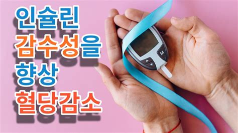 혈당조절을 위한 운동의 효과 - 인슐린 감수성