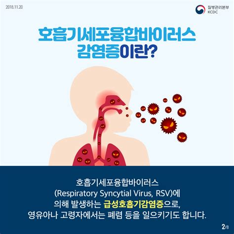 호흡기 세포융합바이러스 감염증 알아보기 카드뉴스 홍보자료