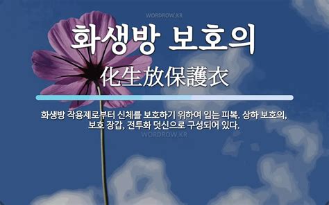 화생방 완성형 - 임무 형 보호 태세