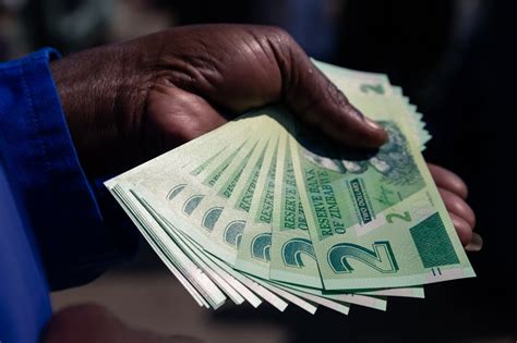 화폐 포기했던 짐바브웨, 10년 만에 새 돈 머니투데이 - 짐바브웨 화폐