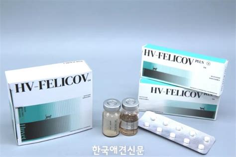 휴벳, 고양이 복막염 치료제 '펠리코브' 동물용 의약품 인허가 진행