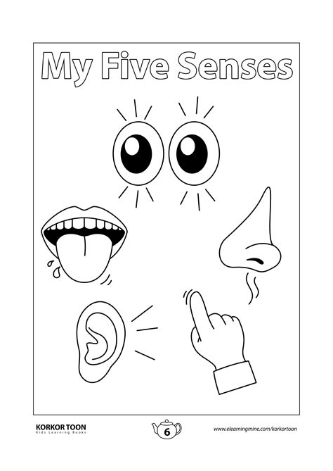 ️My Five Senses Coloring Pages Free Download Gambr.co