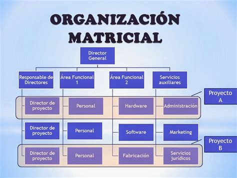 ﻿¿cómo proporciona una organización matricial el desarrollo profesional?