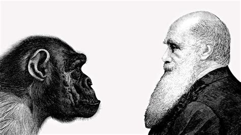 ﻿¿cómo se relaciona la teoría de darwin con el empleo?