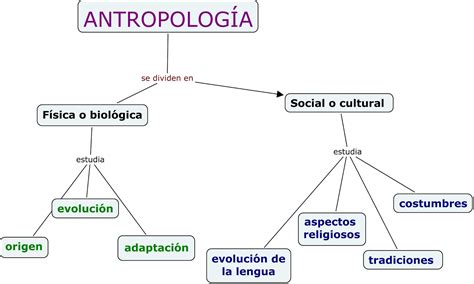 ﻿¿cuáles son las principales subdivisiones de la antropología?
