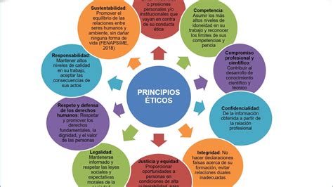 ﻿¿cuáles son los principios éticos de la profesión para los educadores?