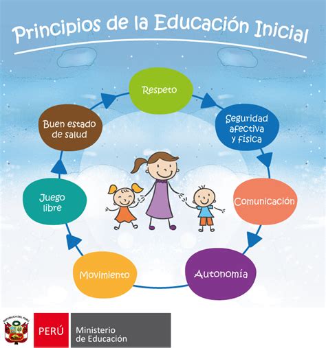 ﻿¿cuáles son los principios de la educación profesional?