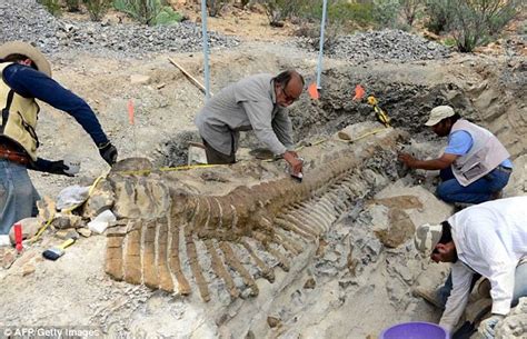 ﻿¿cuánto dinero ganan los paleontólogos?
