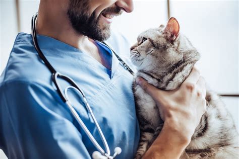 ﻿¿cuánto ganan los veterinarios por hora?