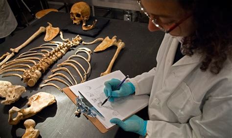 ﻿¿es la antropología forense una buena elección de carrera?