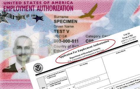 ﻿¿pueden los asilados trabajar sin tarjeta de autorización de empleo?