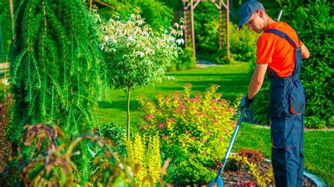 ﻿¿qué categoría de carrera es el servicio de jardinería?