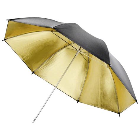 ﻿¿qué es el paraguas dorado en referencia al empleo?
