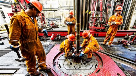 ﻿¿qué es una carrera similar a la ingeniería petrolera?